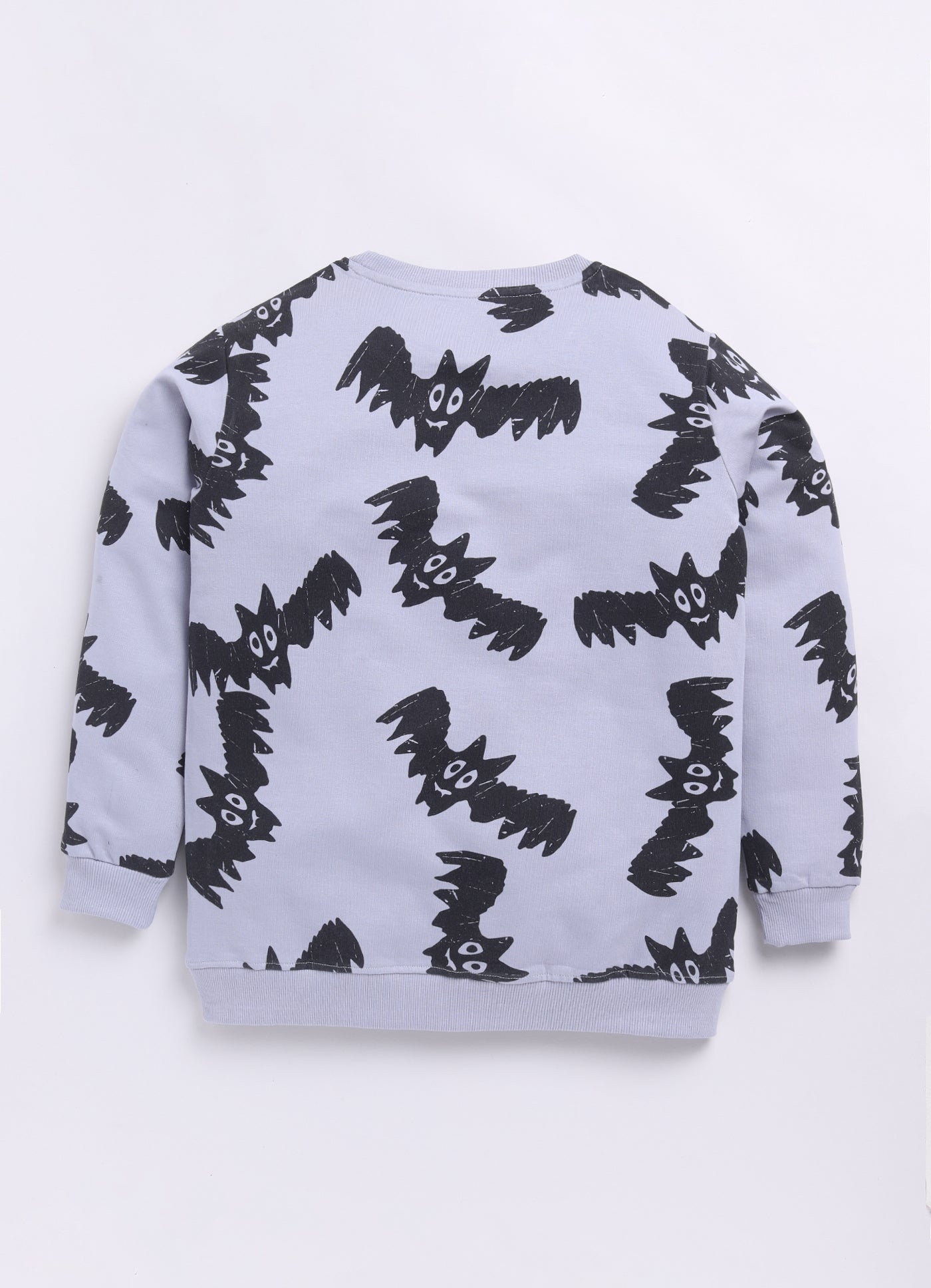 LIL KNOTS Printed Pure Cotton Boy Round Neck Sweatshirt 8-14Y