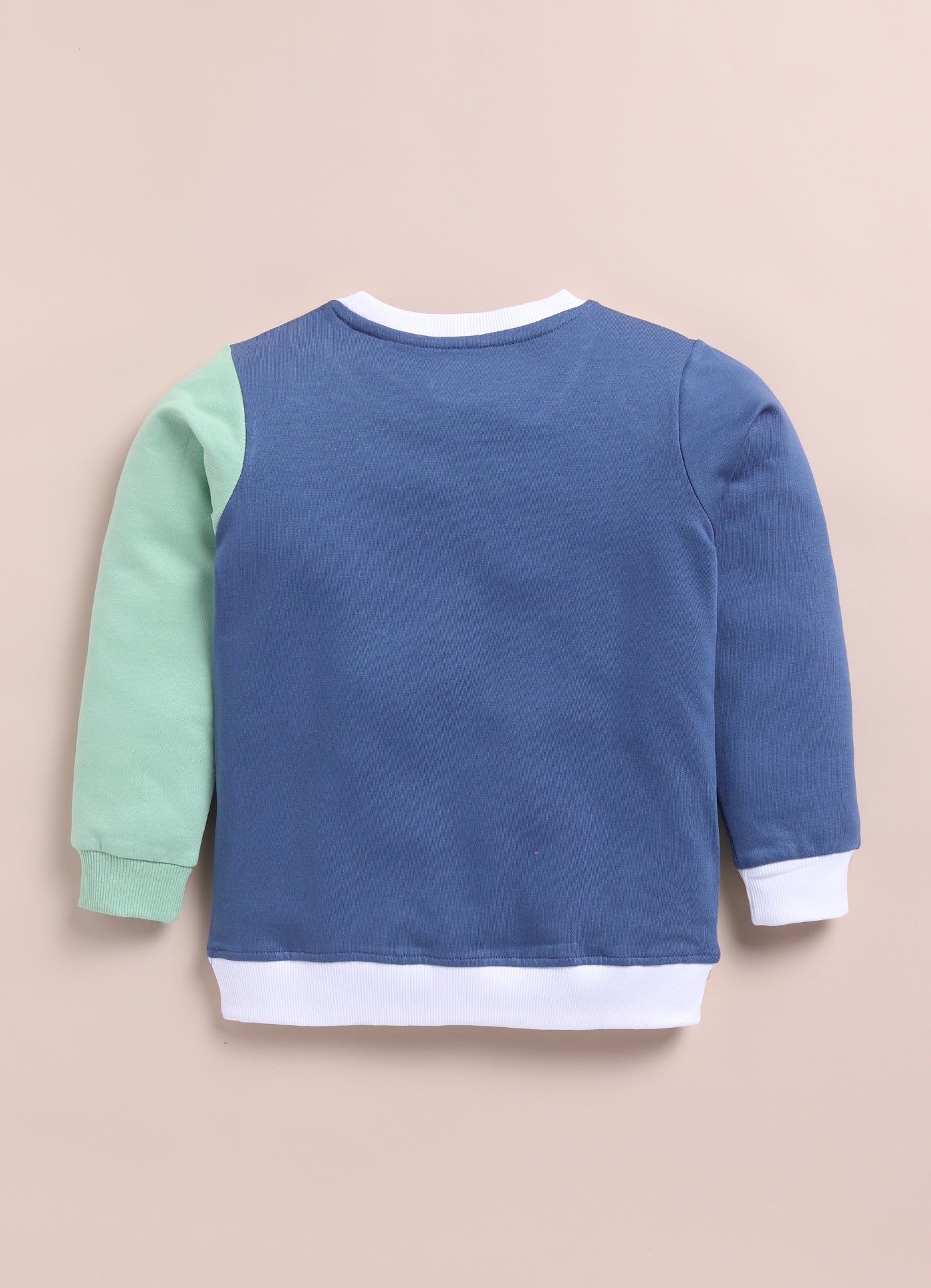 LIL KNOTS Printed Pure Cotton Boy Round Neck Sweatshirt